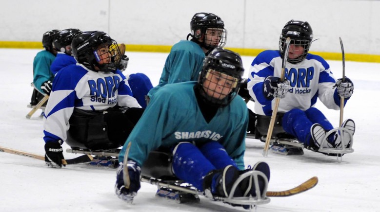 Youth sled hockey players wearing BORP jerseys and Sharks jerseys chase the puck