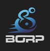 The BORP logo