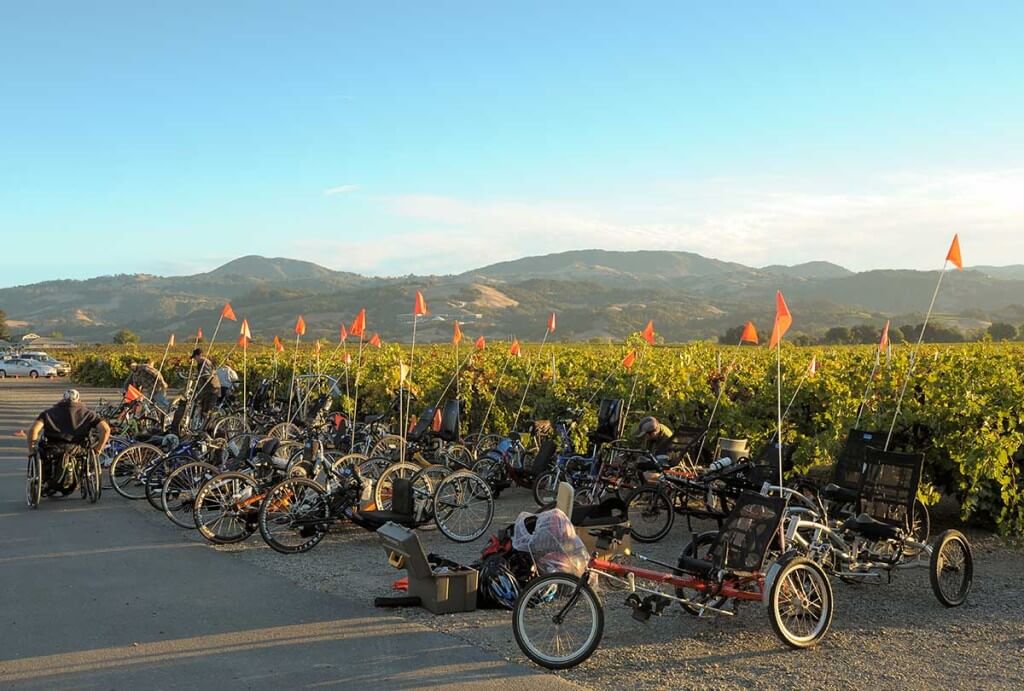 A fleet of adaptice cycles in front of a vineyad at the 2013 Revolution Ride