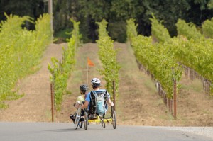Two adaptive tandem cyclists ride in front of rows of grape vines