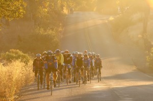 A pelaton of cyclists rides on a beautiful autumn morning