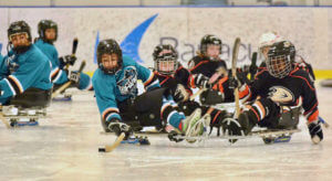 The Sharks Sled Hockey Team at the 2017 Disabled Hockey Festival