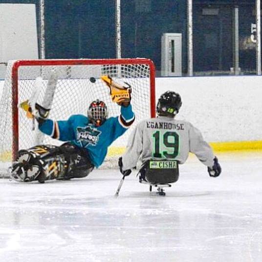 Wings of Steel Sled Hockey Program