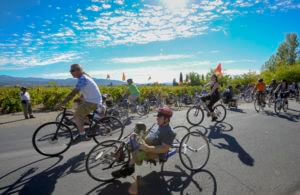 Cyclists on upright and hand cycles riding together