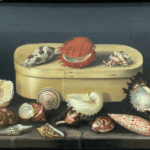 Still life painting of Sea Shells of Different Sizes, Shapes and Colors