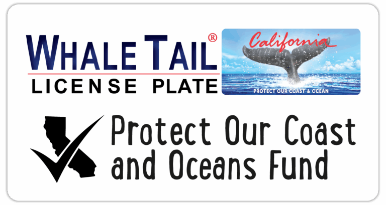 Image of the California license plate with whale tail image. Text says: Whale Tail license plate, Protect Our Coast and Oceans Fund